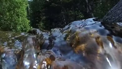 HydraHD