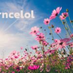 Florncelol
