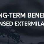 The Long-Term Benefits of Hiring a Licensed Exterminator