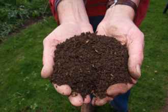 Fresh Mulch, Fresh Look: Upgrade Your Outdoor Space Today