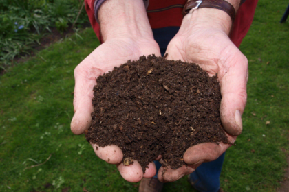 Fresh Mulch, Fresh Look: Upgrade Your Outdoor Space Today